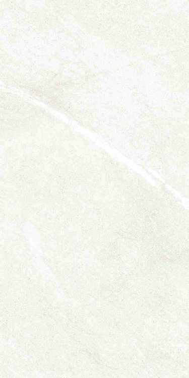 Dhara White Matte 12 x 24